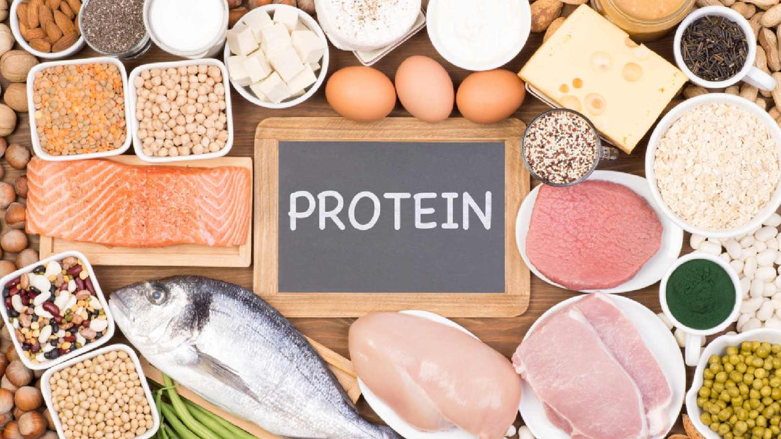 How Much Protein Do You Really Need Per Day?